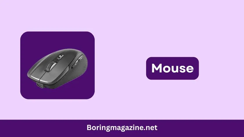 mouse