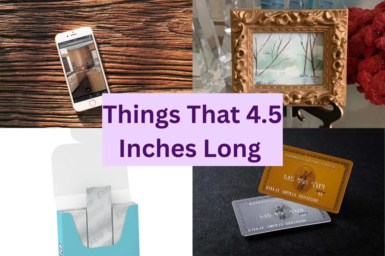 objects that are 4.5 inches long