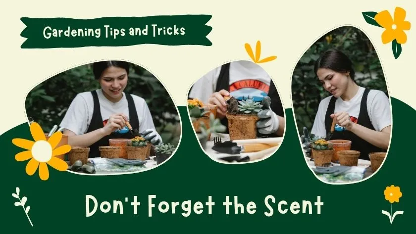 don’t forget the scent