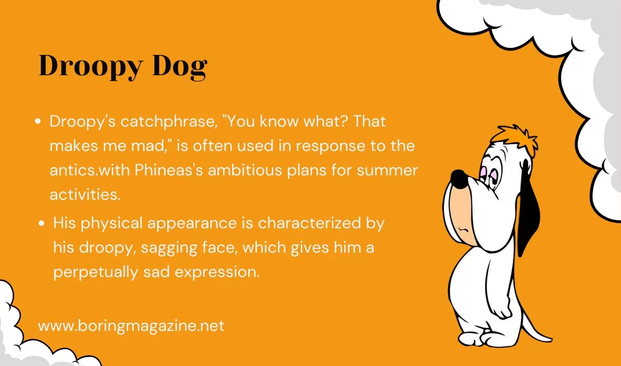 droopy dog facts