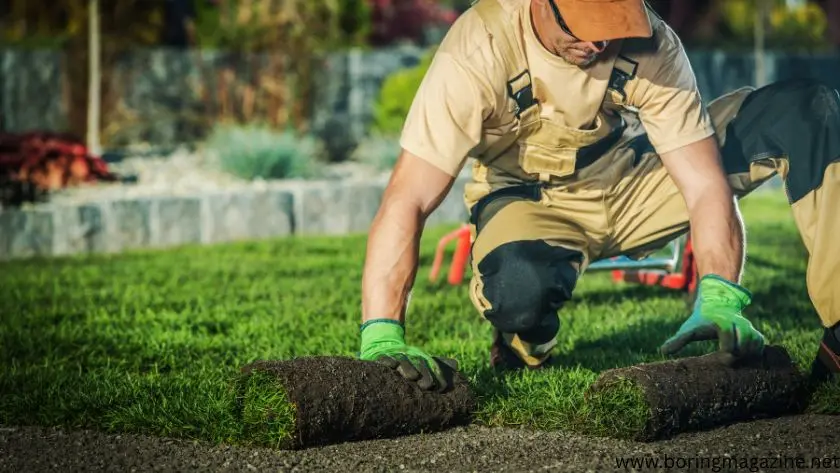 Make Use of Edible Landscaping