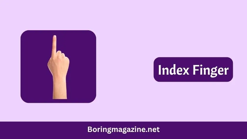 index finger