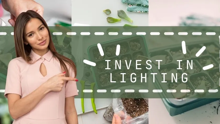 invest in lighting