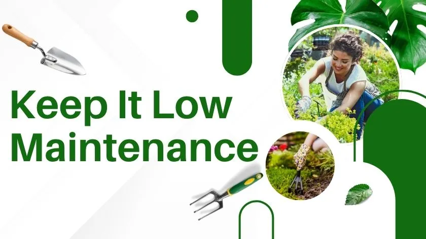 keep it low maintenance