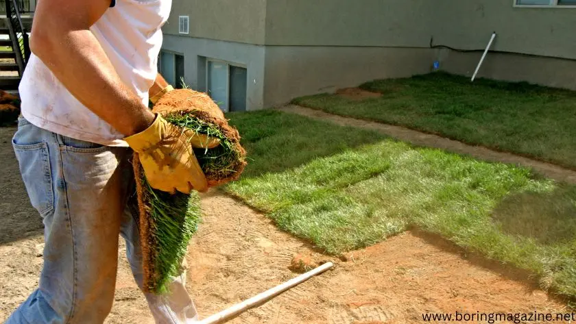 Go for Vertical Landscaping