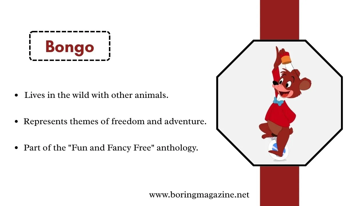 bongo