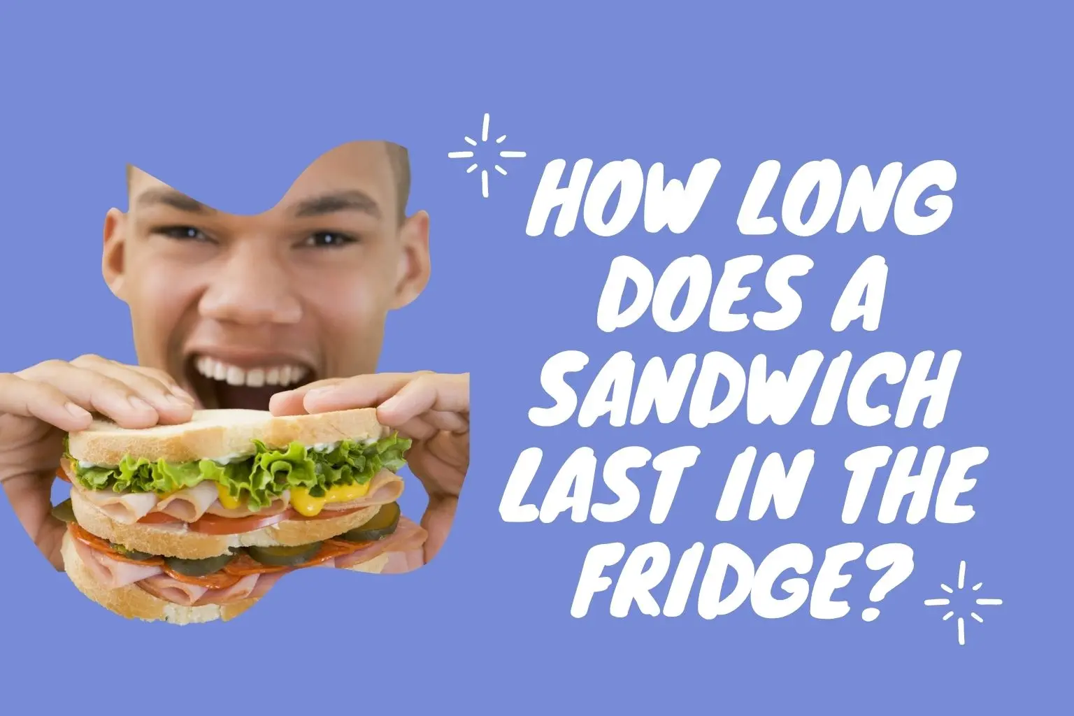 How Long Does a Sandwich Last in the Fridge – [Explained]